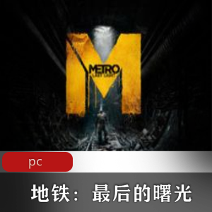 （地铁：最后的曙光）游戏下载