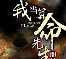 （我当算命先生那几年）有声小说
