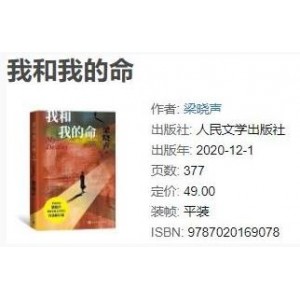作品截图