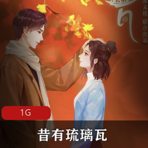言情小说(昔有琉璃瓦)有声书