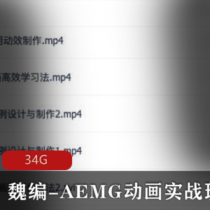 （AEMG动画）实战班