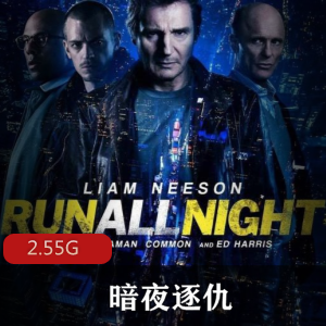 （暗夜逐仇）在线观看