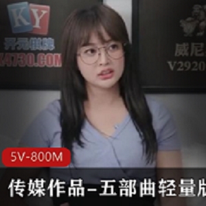 传媒作品五部曲轻量版5V800M
