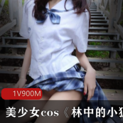 林中的小狐仙美少女cosplay百度云资源