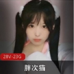 软萌小奶猫与胖次猫合集：温馨互动，笑容满满