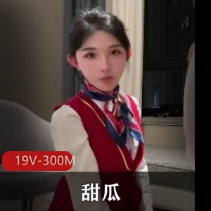TS空姐甜瓜最新合集19V300M，包含棒棒糖，短资源请谨慎下载