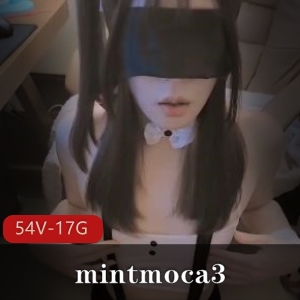 推特大雕TSmintmoca3狂野集锦50部17G火辣珍藏